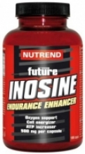 INOSINE 500 100таб